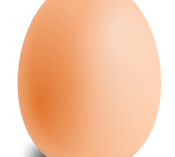 EGG