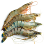 TIGER MEDIUM PRAWNS 1kg