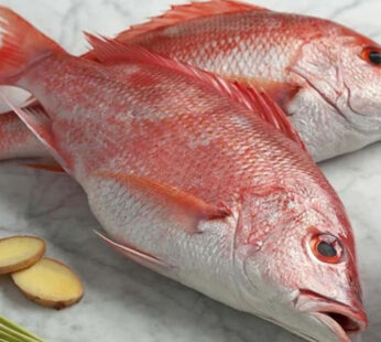 ANNIE RED SNAPPER 1KG