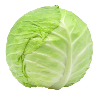 CABBAGE SMALLEST