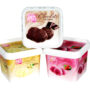 FROSTY BITE CHOCOLATE ICE CREAM 550ml