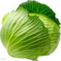 CABBAGE MEDIUM