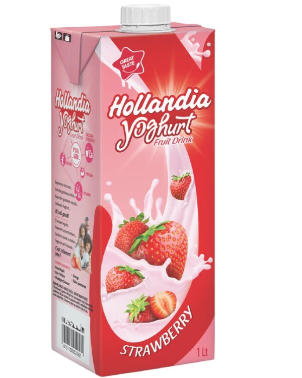 HOLLANDIA YOGHURT PLAIN 90ml