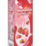 HOLLANDIA YOGHURT PLAIN 90ml