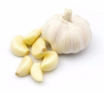 FRESH GARLIC