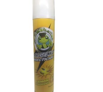 MR GECKO INSECTICIDE 300ml