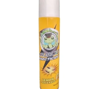 MR GECKO INSECTICIDE 600ml