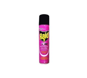 RAID MULTI-PURPOSE  INSECT KILLER 300ml