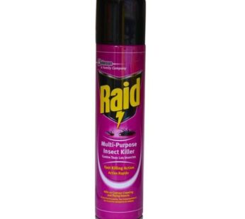 RAID MULTI-PURPOSE INSECT KILLER 750ml
