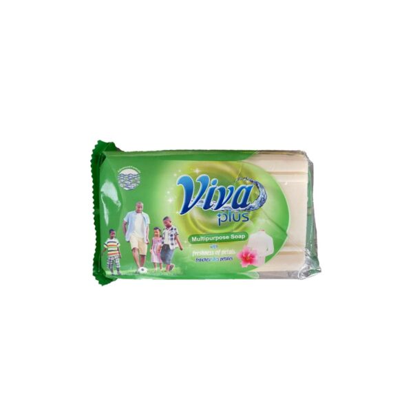 VIVA PLUS MULTIPURPOSE SOAP 250g